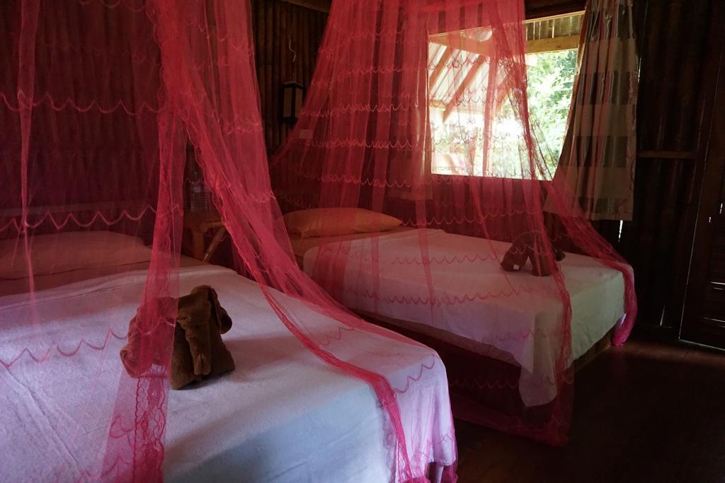 Khao Sok Jungle Resort Khao Sok National Park Habitación foto