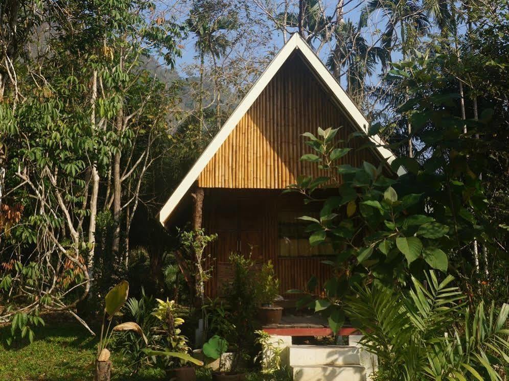 Khao Sok Jungle Resort Khao Sok National Park Exterior foto