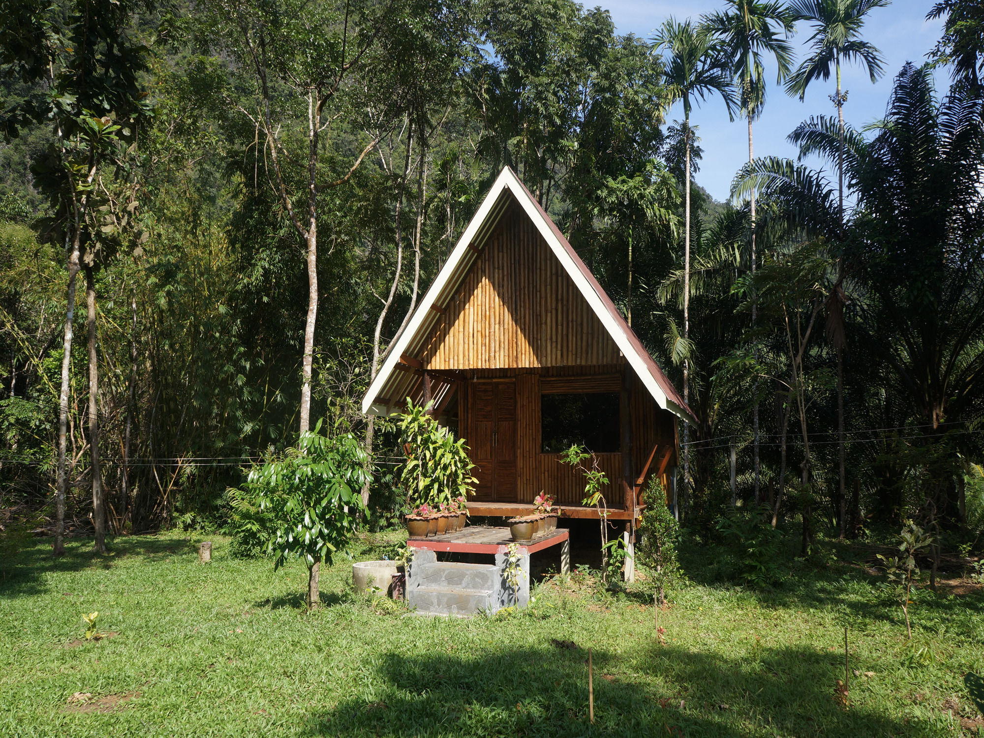 Khao Sok Jungle Resort Khao Sok National Park Exterior foto