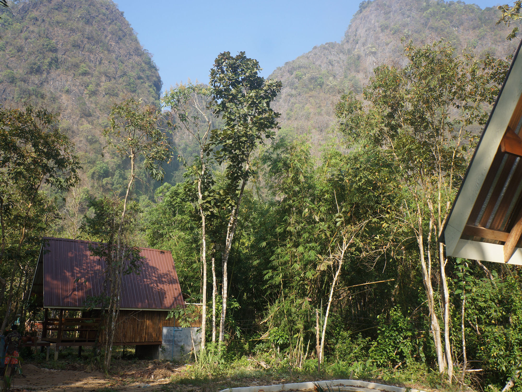Khao Sok Jungle Resort Khao Sok National Park Exterior foto